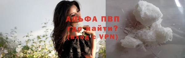 гидра Алексин