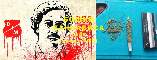 гидра Алексин